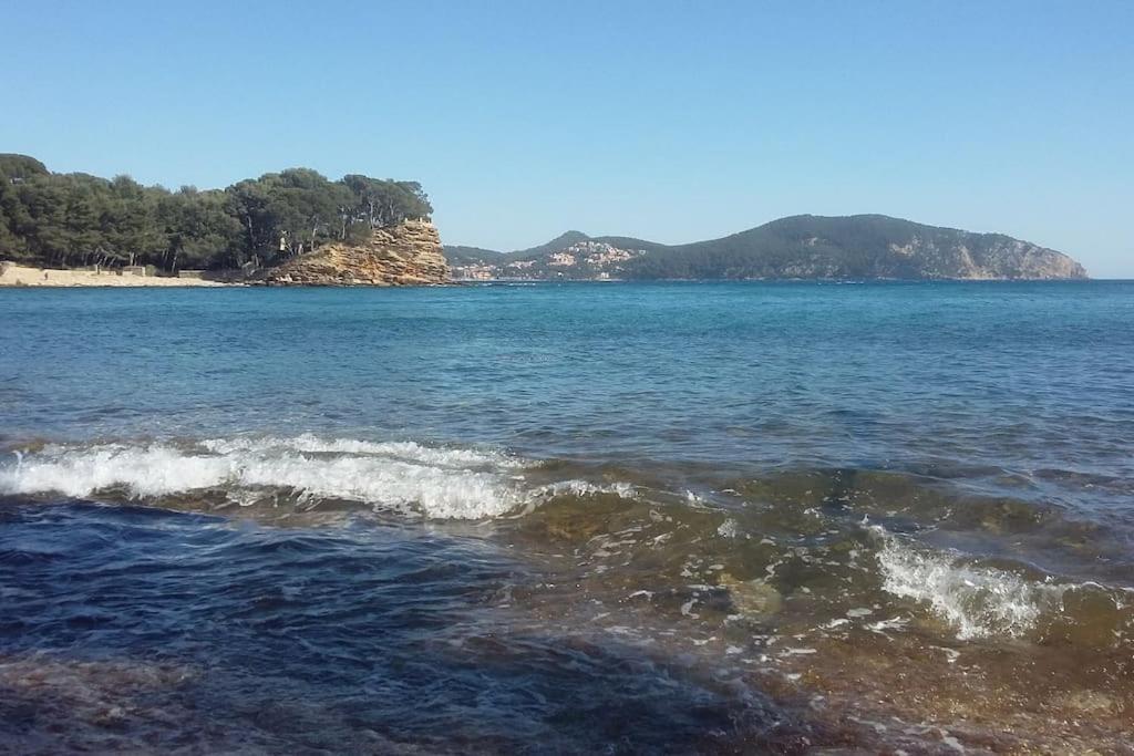 Studio 4 Pers Coeur Du Lavandou 5Mn A Pied Des Plages Le Lavandou Extérieur photo